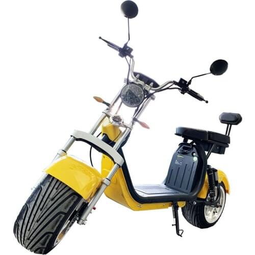 2000W 20AH Electric Bicycle Removable Battery Double Seat With Back Rest Adult Bike