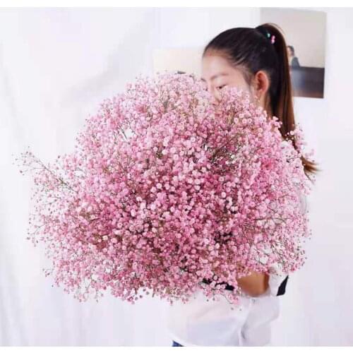 Natural Dried Preserved Flowers Gypsophila Paniculata,Babys Breath Flower Bouquets Gift for Wedding Home Decor Props for Photo