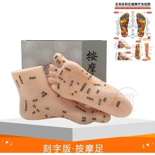19cm Foot Reflex Zone Massage Model, Not Acupuncture Model, Foot Massage Model Chinese Language Feet Reflexology,1 Pair Medical