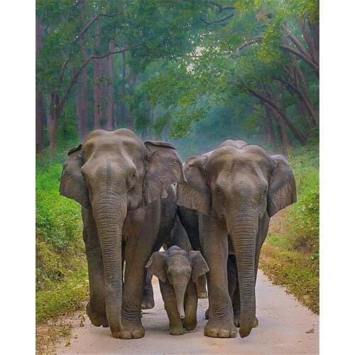 Gatyztory Elephant Frame Paint By Numbers For Adults Kids Handpainted Oil Painting Animal Canvas Drawing DIY Gift Home Wall Deco