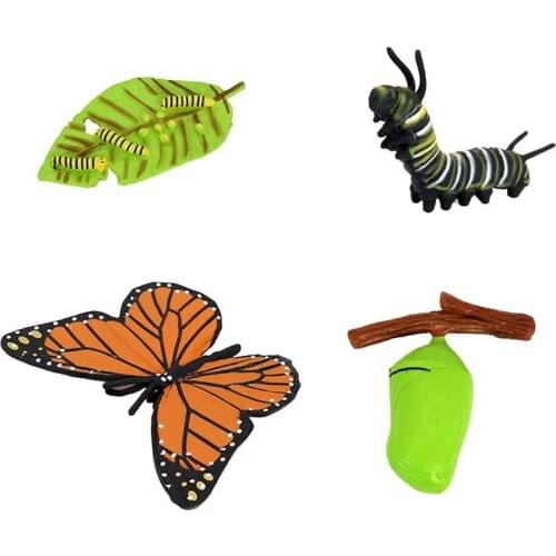 Simulation Insect Model Toys Realistic Insect Animal Model Plastic Insect Children Learning Cognitive Educational Biological Toy