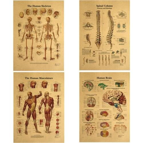 1pc The Body Structure Skeleton Nervous System Vintage Poster Painting Wall Art Kraft Paper Wall Stickers Home Decoration
