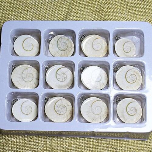 12pcs natural shell pendants from deep sea new european designs of jewelry accessories with paper gift box good for your selling