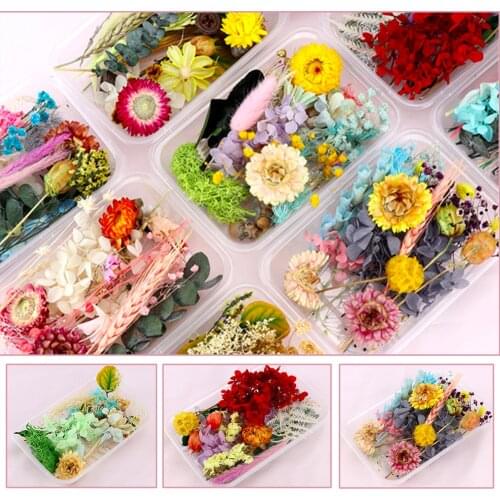 1Box Random Mix Colorful Dried Flower For Aromatherapy Candle Resin Pendant Necklace Jewelry Making DIY Handmade Gift Materials