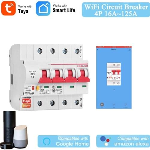 Smart Life Tuya App 2P WiFi Smart Circuit Breaker Overload Short Circuit Protection with Alexa Google Home for Smart Home