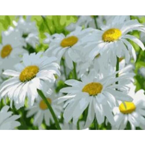 DRAWJOY Flower Framed Picture DIY Painting By Numbers Painting & Calligraphy Home Decoration For Living Room GX5590 40*50cm