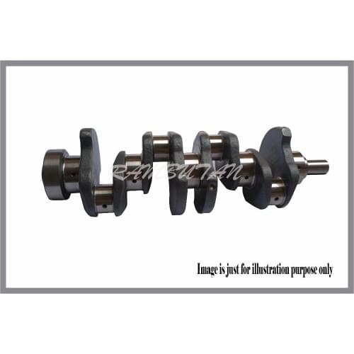 12201-EW406 Crankshaft For Nissan QD32