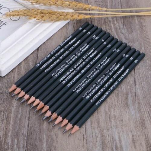 14Pcs Professional Drawing Sketch Pencil Art Artist Craft School Supplies Set