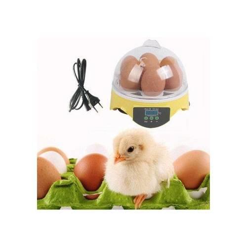 Яйцеварки Hypnotize China At AliExpress