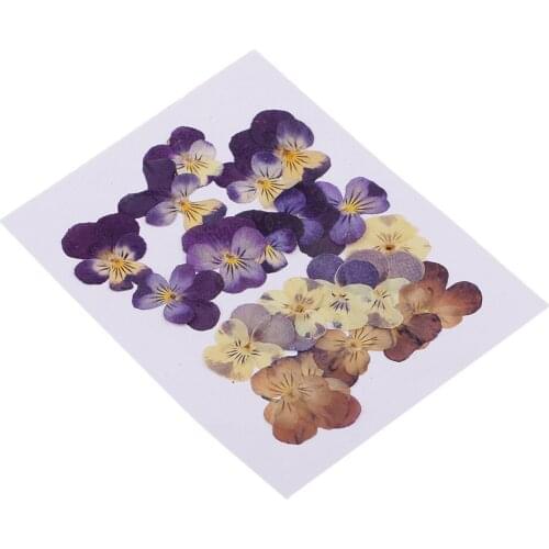 20pcs Natural Real Pressed Dried Flower for DIY Craft Jewelry Making Handmade Resin Ornament
