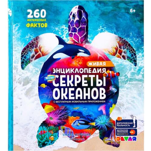 Умная игрушка Education And Training