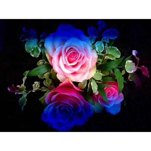 Rainbow Flowers Diamond Painting Kit - DIY Rainbow Flowers-10