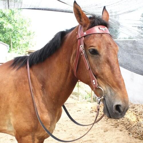 Adjustable Horse Riding Equipment Halter Horse Bridle Leather Cowhide Head Collar Headcollar Equipment Equestrian Accessories