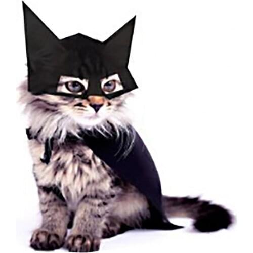 Halloween Cat Headgear Hat Funny Adjustable Strap Bat Shape Half Face Cover Animal Party Pet Halloween Cat Cosplay Costumes Caps