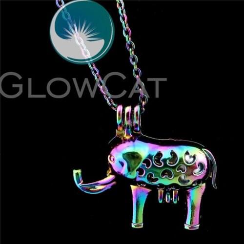 R-C76 Rainbow Colors Elephant Beads Cage Pendant Perfume Diffuser Aromatherapy Oyster Pearl Cage Locket Necklace