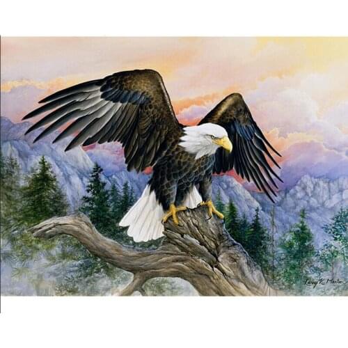 Animals Mountains Eagle Soar Diamond Mosaic DIY 5D Diamond Painting Needlework Embroidery Cross Stitch Kits Home Decoration Gift