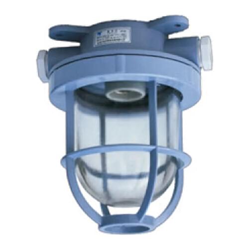 IP55 60w 220V waterproof marine plastic incandescent pendant light CCD1-2A