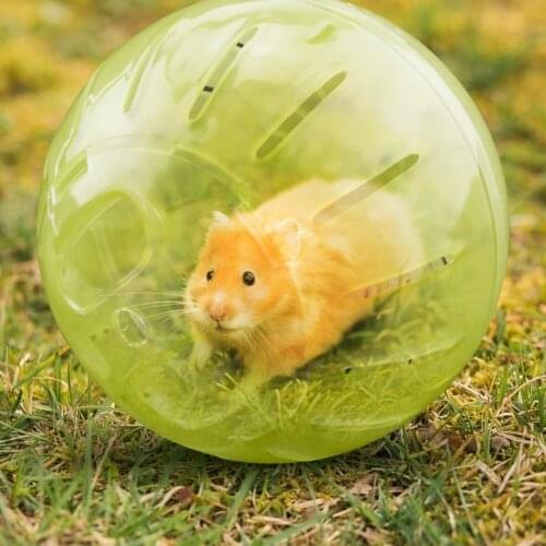 Rat Mouse Exercise Playing Climbing Toy Clear Plastic Pet Rodent Mini Jogging Ball Hamster Exercise Running Ball Toys