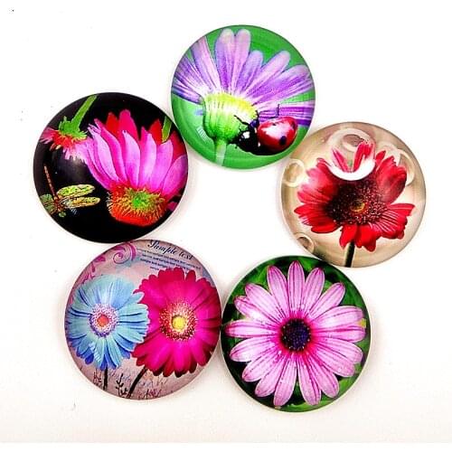 Jiangzimei 10pcs Beautiful Flower chrysanthemum, Daisy 25mm Round Photo Glass Cabochon Demo Flat Back Making Findings
