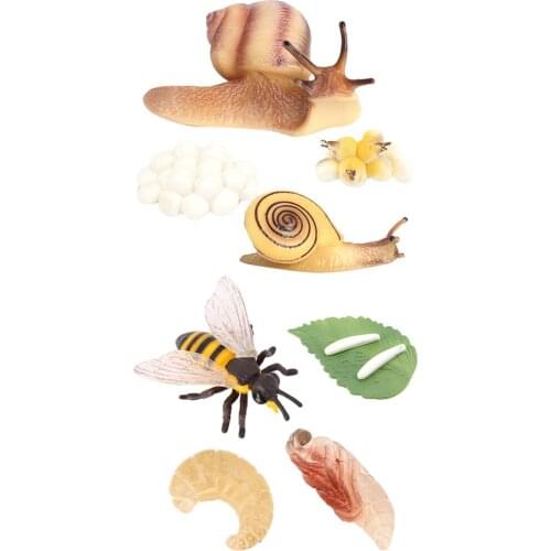 Children simulation animal figures toy bee snail growth process playset