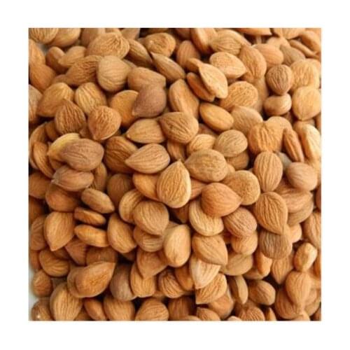 500g Almond Free Shipping Fresh Bitter Apricot Kernels (with Coatings,organic)
