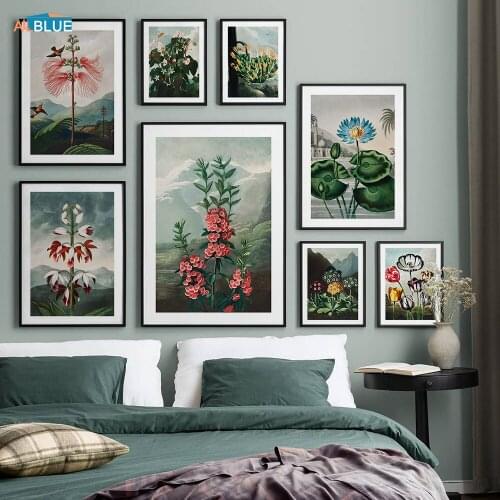Botany Poster Botanical Taxonomy Picture Floral Bloom Canvas Painting Scenery Flower Wall Art Print Home Decoration Room Artwork