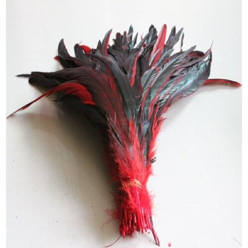 Wholesale 500PCS red Rooster Tail Feathers 30-35 cm / 12-14 inches