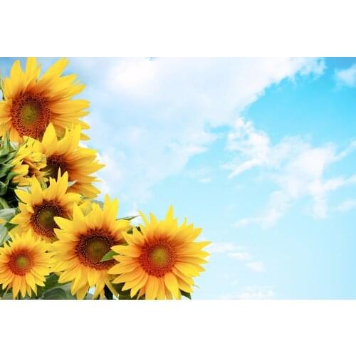 VinylBDS Blue 3DSky Wedding Photography Backdrops Sunflower Scenic Muslin Backdrops Newborn Vintage Floral Photography Backdrop