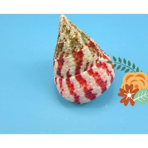 Decoration Crafts Natural conch shells wholesale Hongta aquarium landscaping decorations 4CM