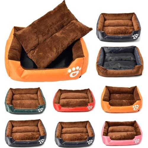 I have a date with pet Dog Beds