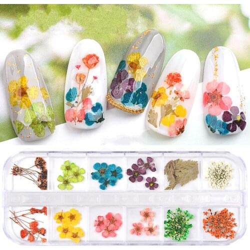 1Box Mix Dried Flowers Nail Decoration 3D Natural Dry Flower Stickers DIY Creativity Nail Art Decals Polish Manicure Accessories