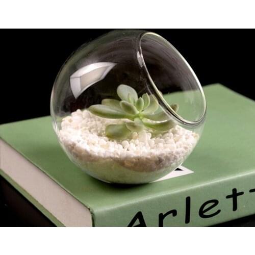 Diameter=8cm Small Size Side Open Glass Terrarium Vase Home Decoration Creative Aquarium Fishbowl Friend Gift