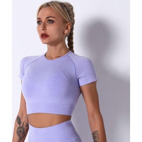 SALSPOR Women Seamless Yoga Shirts Elastics Solid Breathable Fitness Sport Top Quick Dry Joggings Athletic Short Sleeve Top