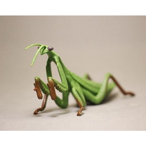 Figure Simulation animal model Insect