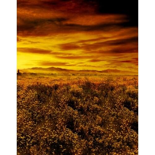 5x7ft Sunset Wild Tree Photography Backdrops Photo Props Studio Background