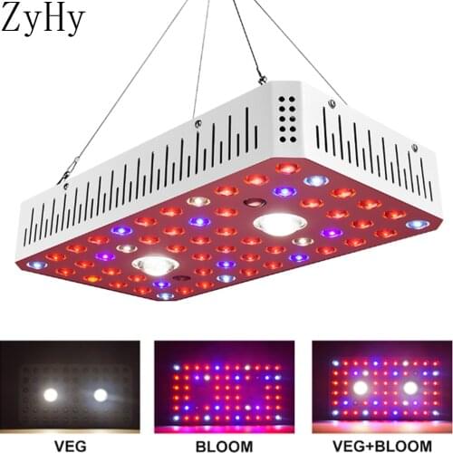 LED Double Switch 1000W COB2 Plant Growth Lamp Succulent Leafy Vegetables And Fruit Seedlings To Promote Growth Supplement Light