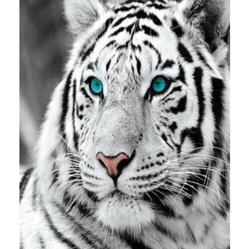 Diy 5D Diamond Painting White Tiger Round Diamond Mosaic Cross Stitch Animal Diamond Full Diamond Embroidery Home Decor FG164