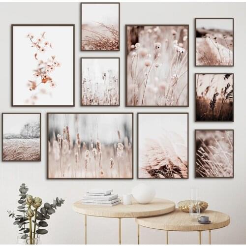 Reed Flower Chaff Dandelion Senecio Hay Wall Art Canvas Painting Nordic Posters And Prints Wall Pictures For Living Room Decor