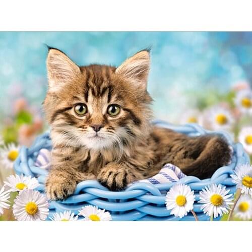 5D DIY Diamond Painting Animal Kitten Diamond Embroidery Rhinestone Needlework Mosaic Cross Stitch Home Decor Handmade Gifts