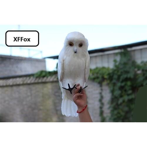 Big new real life white owl model foam&feather cute owl bird gift about 45cm xf2621