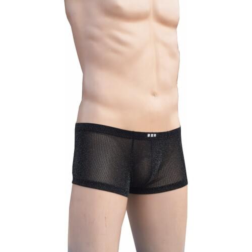 1pcs brand HOWE RAY Mens sexy underwear ultra-thin men gay underwear mens transparent grenadine boxers nylon panties