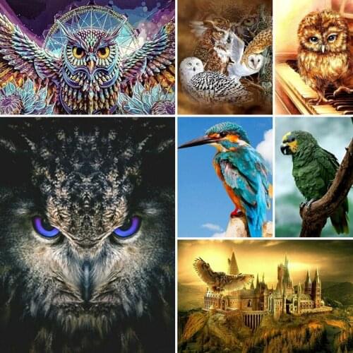 30x40x50x60x70 diamond painting 5D Full Square embroidery mosaic Cross Stitch animal Owl eagle DIY Wall Sticker home Decoration