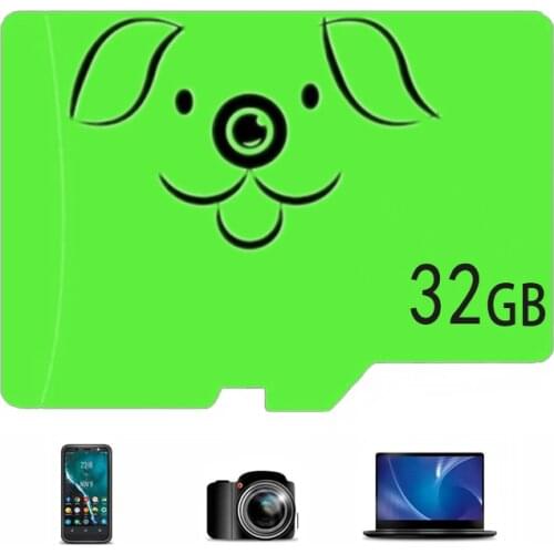 Felfial MicroSD Cards