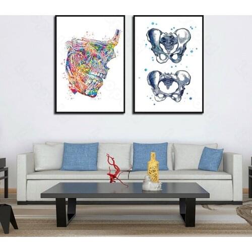 Still Life Painting Cartoon Pelvis and Jawbone Decoration Painting Living Room Background Wall Stickers Warm Wall Stickers