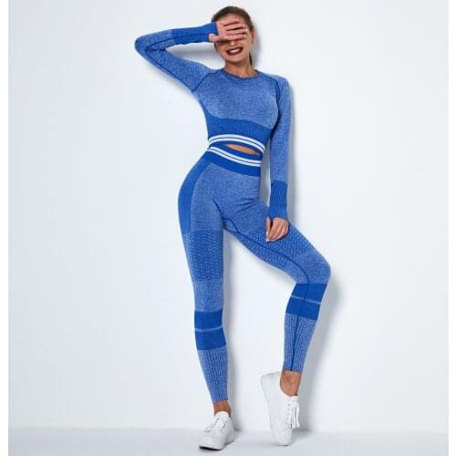 Seamless Yoga Set 2PCS Women Fitness Sports Yoga Suits Clothing Gym Tights Crop Top Shirts Hight Waist Leggings Female Sports