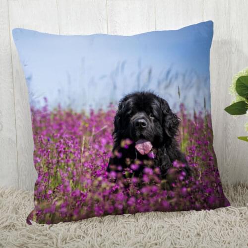 Customize Newfoundland Pillow Case Modern Home Decorative Pillowcase For Living Room 45X45cm,40X40cm A2020.4.29