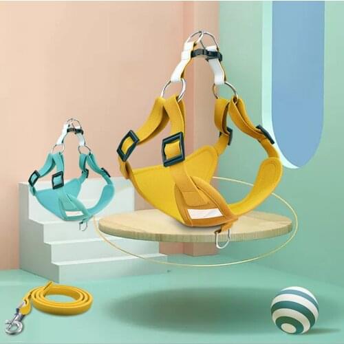 Dog Luminous Vest Harness Leash Suit Personalized Adjustable Reflective Cat Harness Pet Products Puppy Outdoor Walking Chihuahua