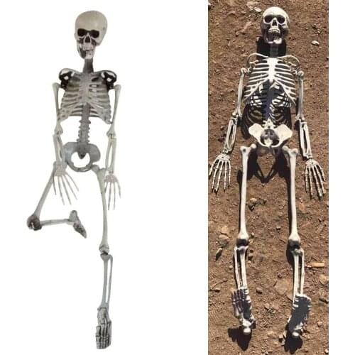 90cm Simulation Human Skeleton Ornament Halloween Party Bar Haunted House Props Decoration Creative Gifts
