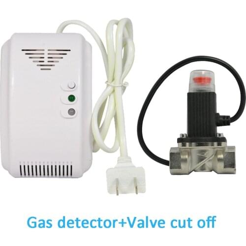 Qiaoandianzi Carbon Monoxide Detectors