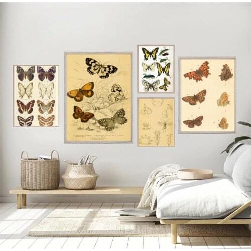 Butterfly Insect Vintage Poster Papillons Print Biology Education Canvas Paintings Wall Art Picture Modern Study Room Decoration